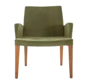Living Room Chair